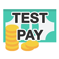 Test payment